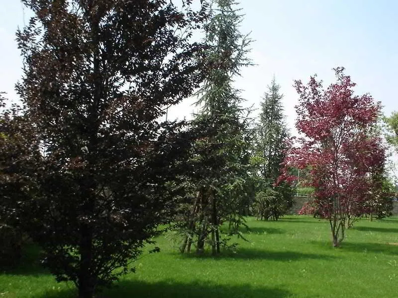 Grand Hotel Del Parco - Bergamo Airport Stezzano